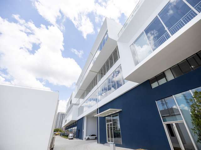 龙湾卡通彩绘哪家好