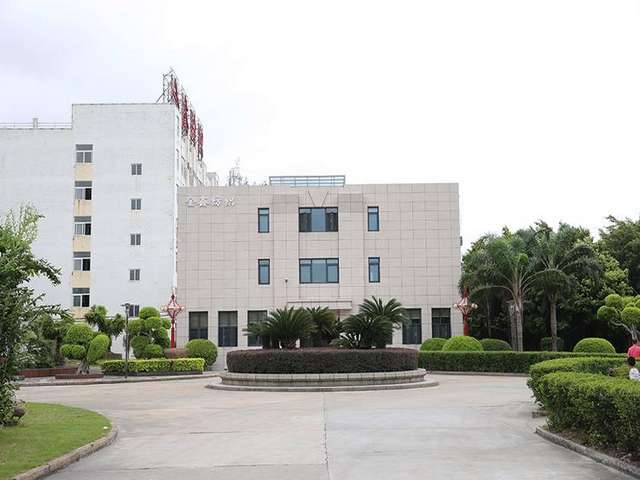 江阴大型绿植租赁厂家