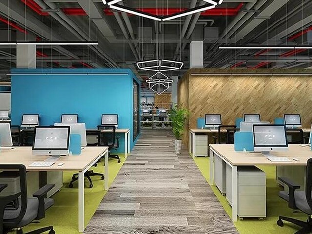 植物植物出租租赁金堂县