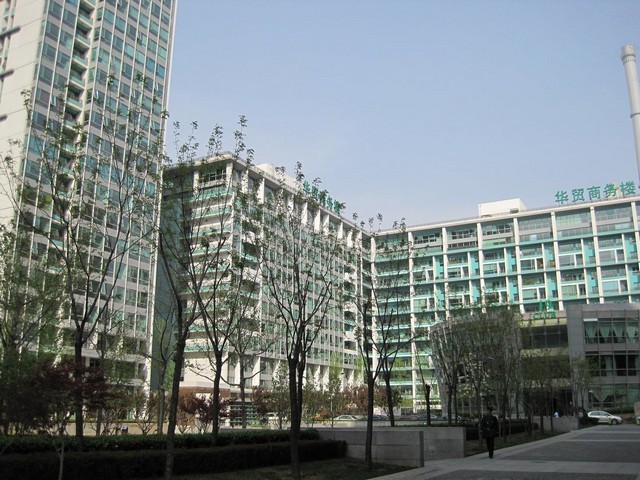 杨浦花卉绿植租赁上门服务