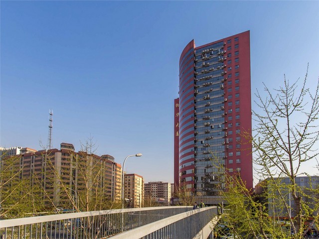 仙居县公司绿植租摆供应商